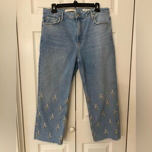 Anthropologie Pilcro and the Letterpress Embroidered Blue Jeans 30